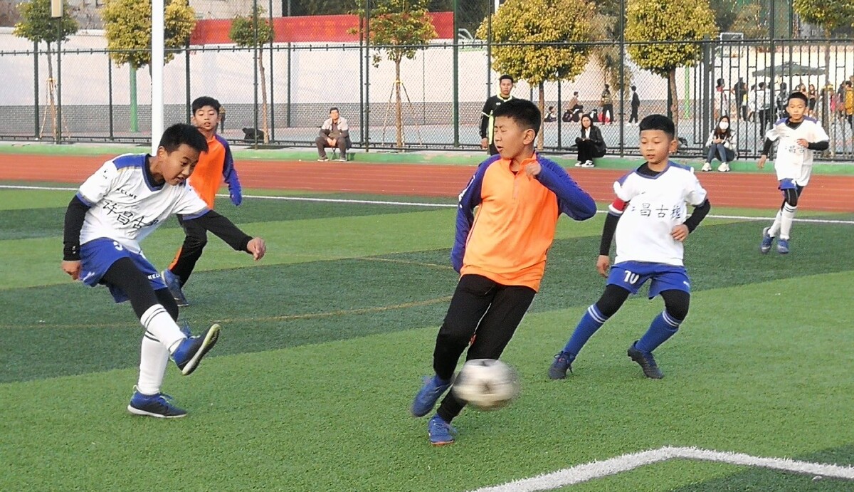 魔皇神佛鲨 魔皇神佛鲨