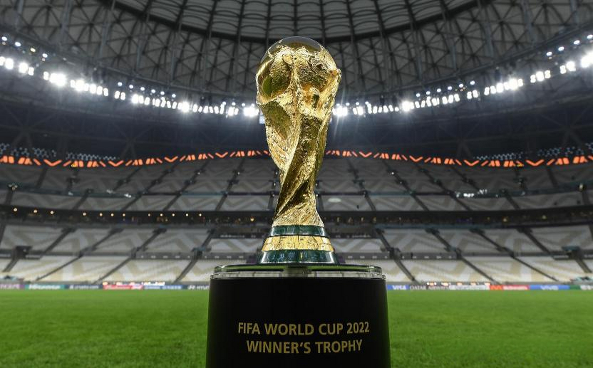 魔皇神佛鲨 魔皇神佛鲨